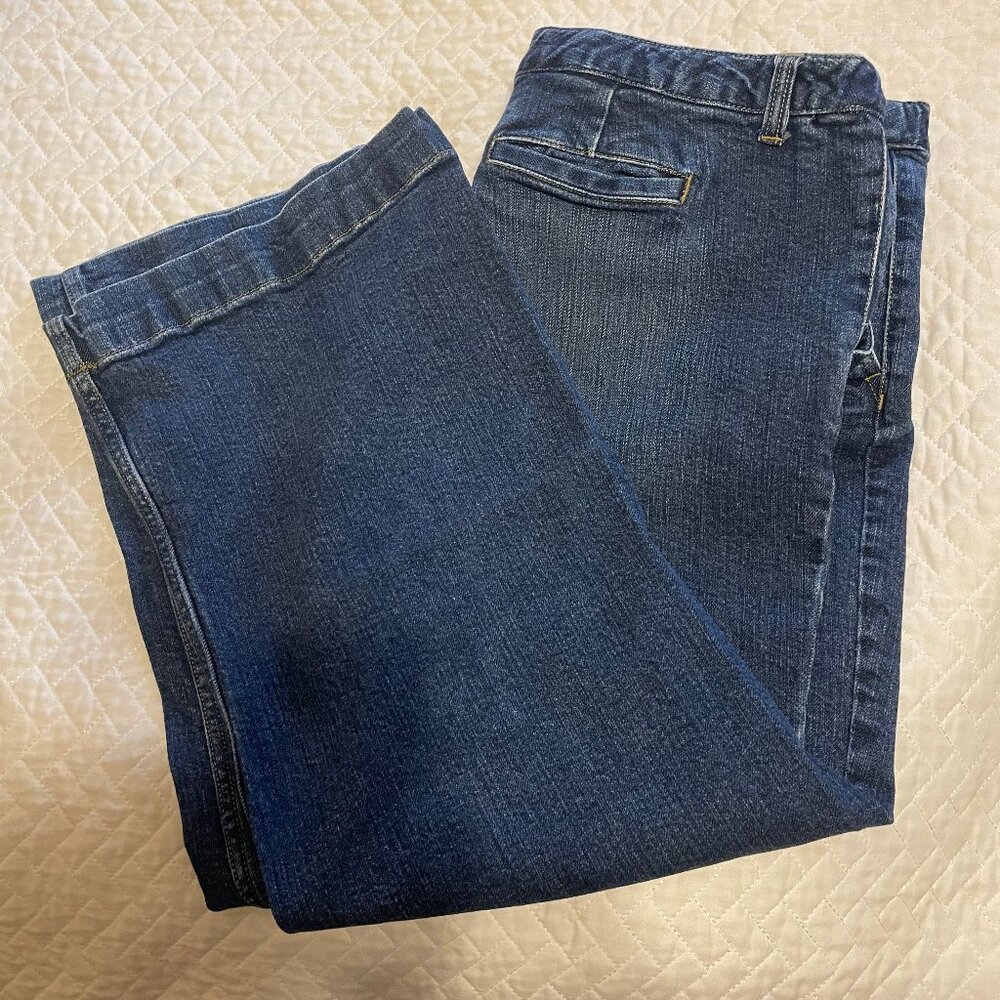 Lands End Size 16P (NWOT), Original Fit, Comfort Waist Jeans. (J003)